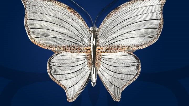 Церемония вручения «Бриллиантовой бабочки» пройдет 27 ноября